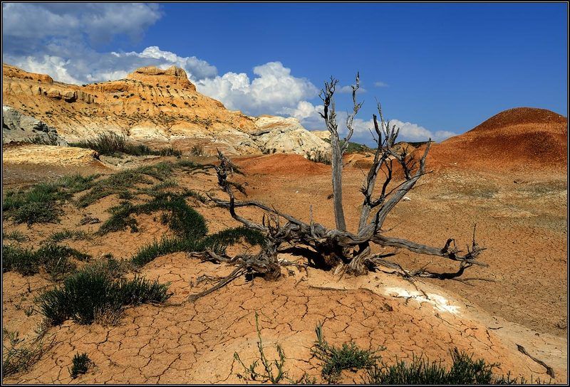 природа, пустыня Краски пустыниphoto preview