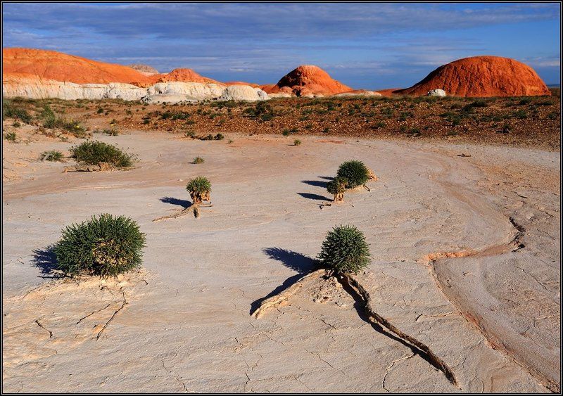 Краски пустыниphoto preview