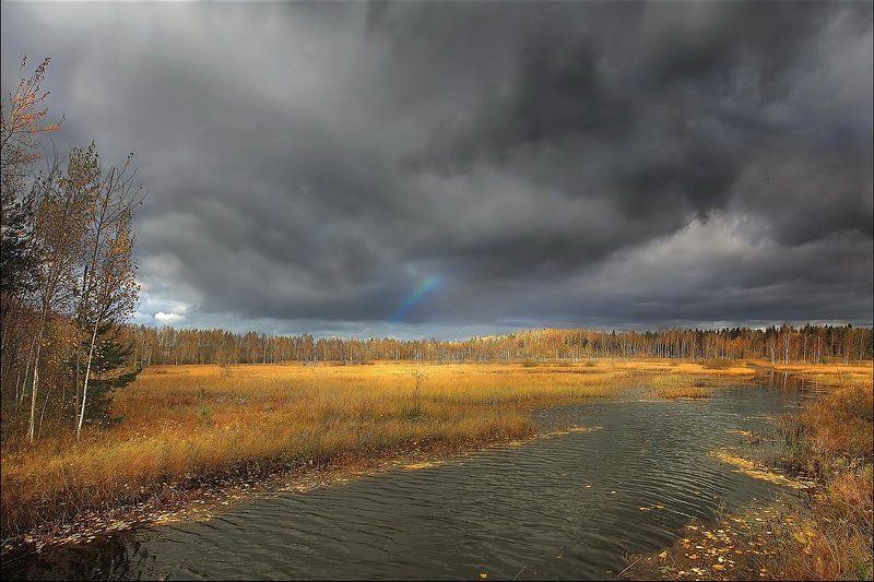 Осколок радуги осеннейphoto preview