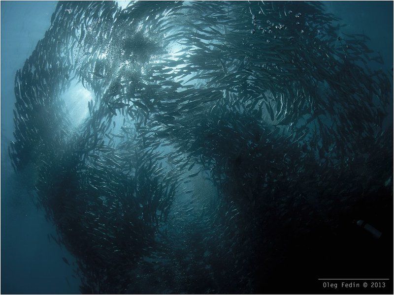 Das Phantom Der Operaphoto preview