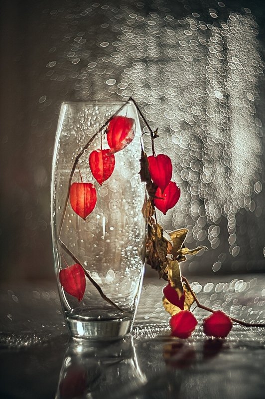 Осенние фонарикиphoto preview