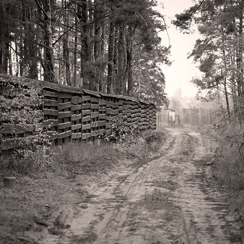 autumn, осень Autumn in b/wphoto preview