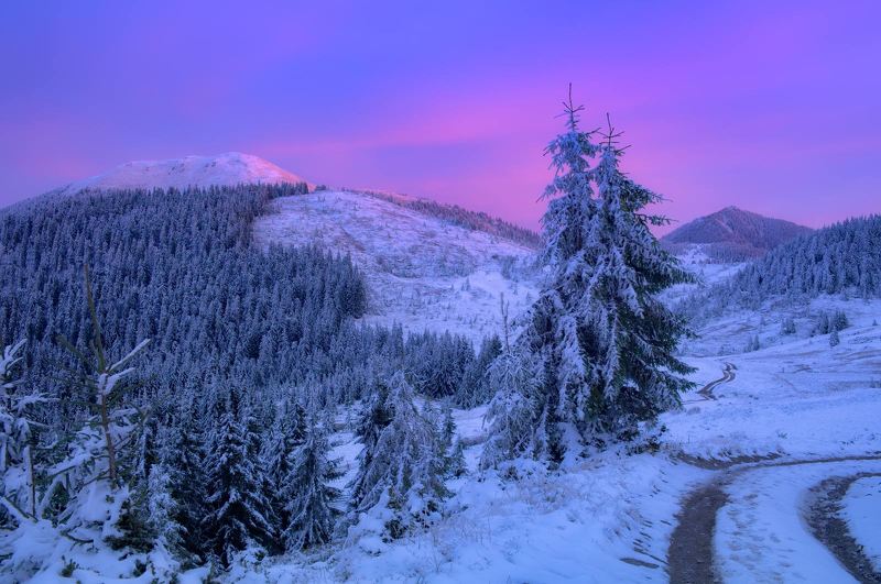 #nature, #туман, #лес, #oсень, #украина, #карпаты, #пейзаж, #закат, #туман, #солнце, #свет, #mountain range, #mountains, #туризм, #лес, #nature, #природа, Мармароський масивphoto preview