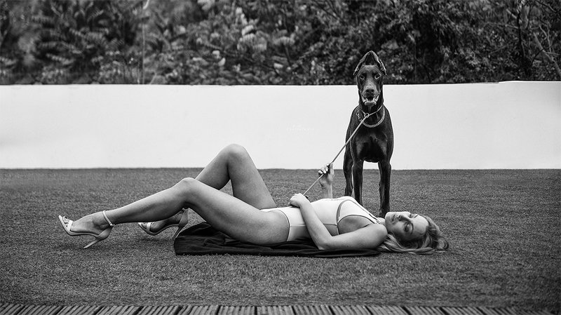 D.O.B.I.photo preview