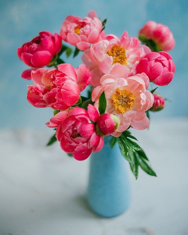 лето, пионы, свет, розовый, желтый, букет photo preview