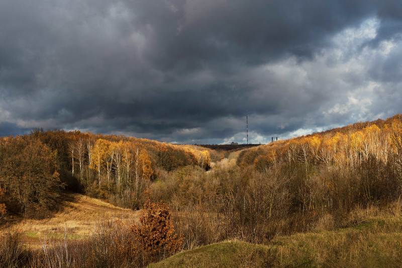Урочище Крутой Лог.Курскphoto preview