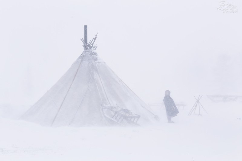 полярный урал, ямал, ненцы, оленеводы Пургаphoto preview