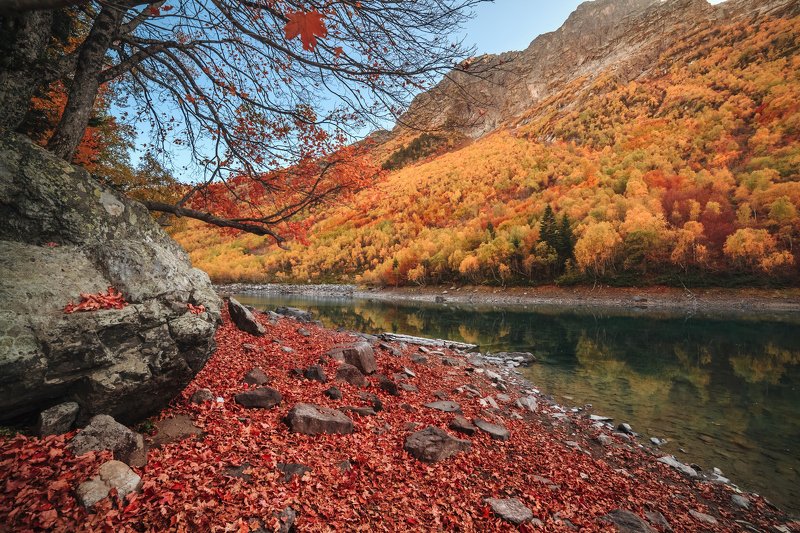 Домбайская осеньphoto preview