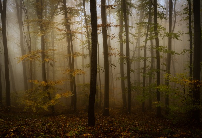 Волшебная гораphoto preview