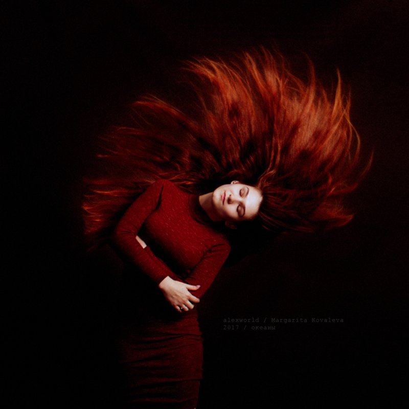 Untitledphoto preview