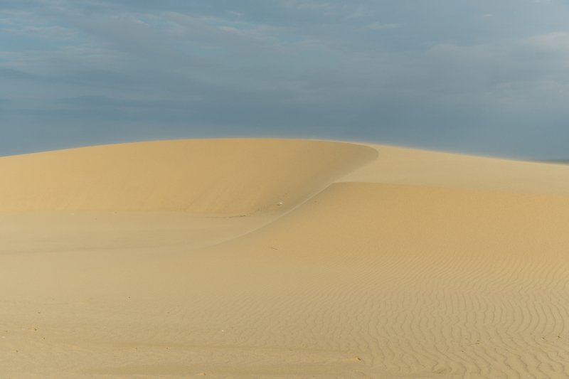 Изгибы дюнphoto preview