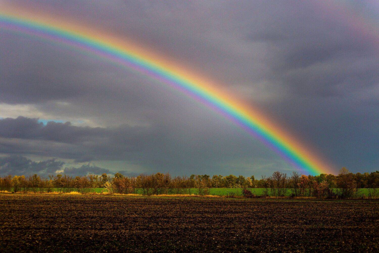 , Павел Сагайдак