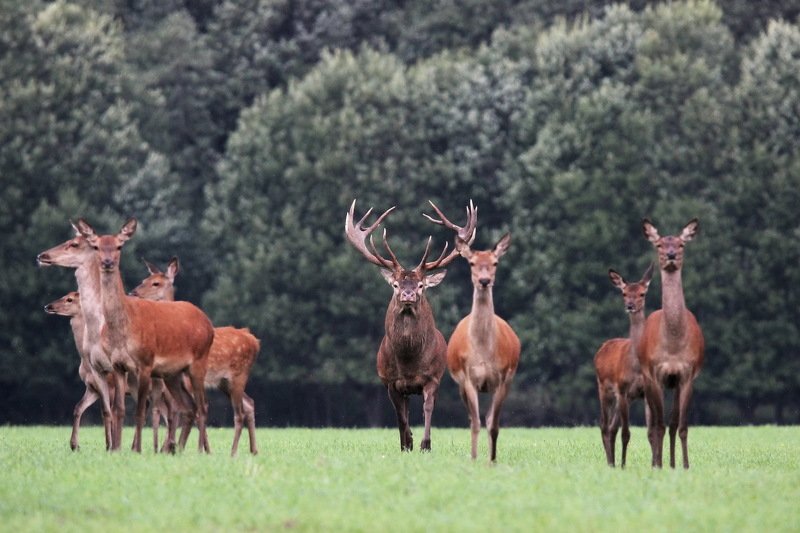 111 111photo preview