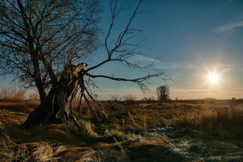 пейзаж, закат, осень Звезда по имени солнцеphoto preview
