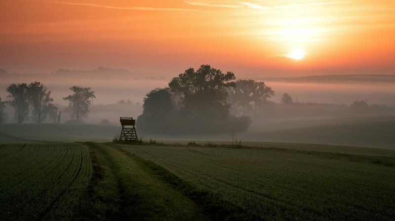 fog, field, morning, sunrise Morning on the fieldphoto preview