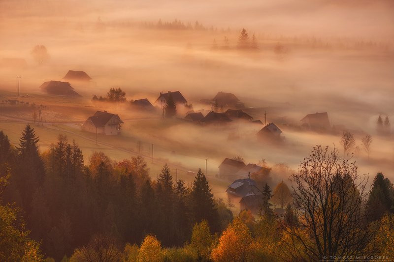 landscape, poland, light, village, autumn, awesome, amazing, rays, sunrise, sunset, lovely, nature, travel, morning, trees, house, fog, mist Wrapped up by fogphoto preview