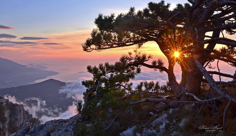 утро, рассвет, восход, крым, ай-петри, вершина, октябрь, облака Солнце над облакамиphoto preview