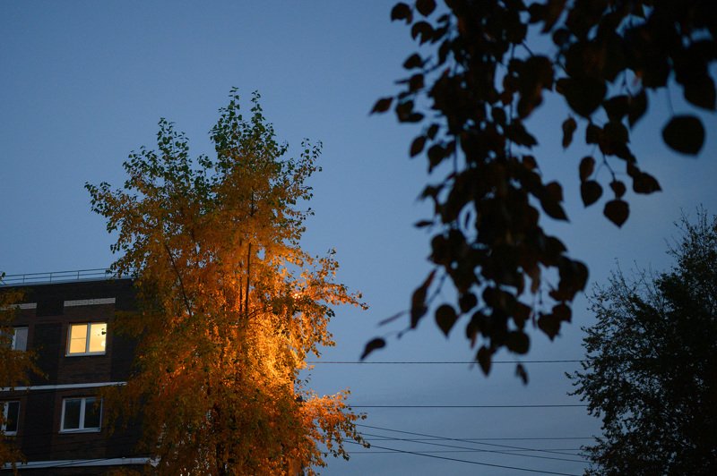 уличная фотография, streetphotography, северодвинск, осень, ночь, В свете фонарейphoto preview