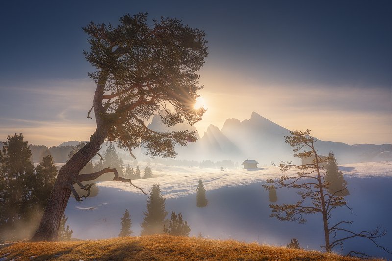 alpe, di, siusi, dolomiti, landscape, italy, winter, autumn, snow, tree, mountain,  alpe di siusiphoto preview