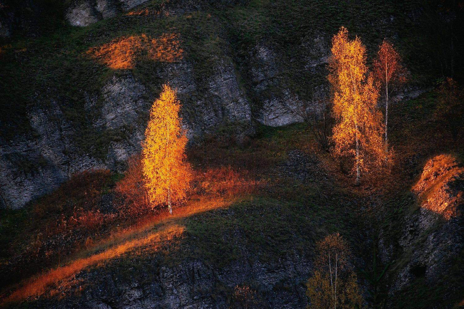 В лучах заката. Автор: Кирилл Кузнецов пермский край, осень, рассольная, россия, урал, береза, вечер, закат, пейзаж, скала, Кирилл Кузнецов