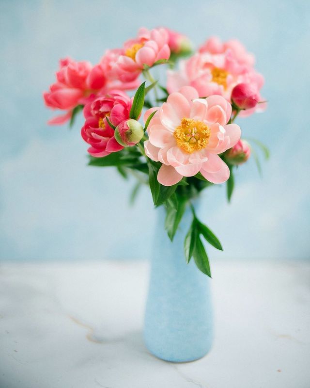 лето, пионы, свет, розовый, желтый, букет photo preview