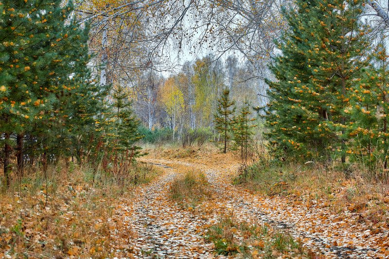 башкирия, южный урал орск новотроицк Сказка Осеннего Лесаphoto preview
