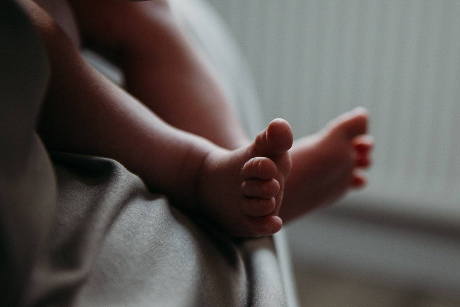 Автор: Елена Ганненко , Елена Ганненко