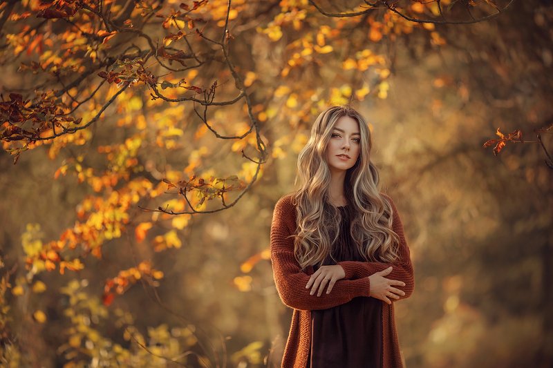 Викаphoto preview