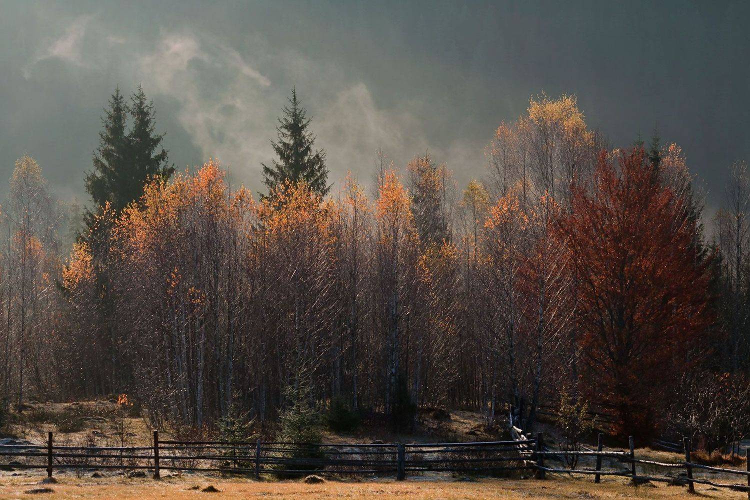 карпаты утро туман осень, Михаил Глаголев