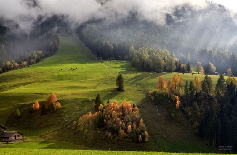 Альпийские лугаphoto preview