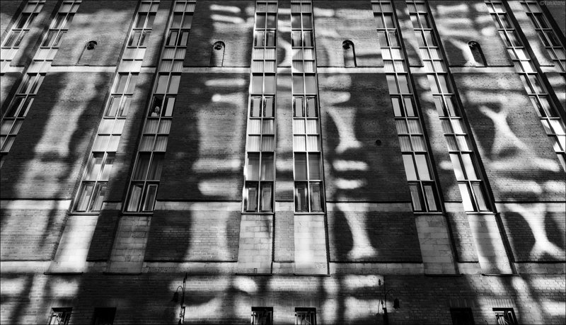 Девушка в беломphoto preview