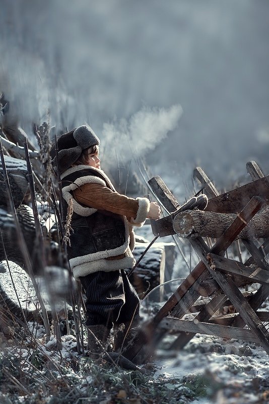 деревня, зима, холод, дрова photo preview