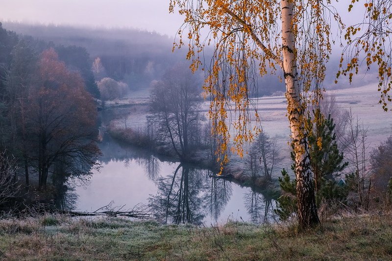 Я в осень приоткрою дверьphoto preview