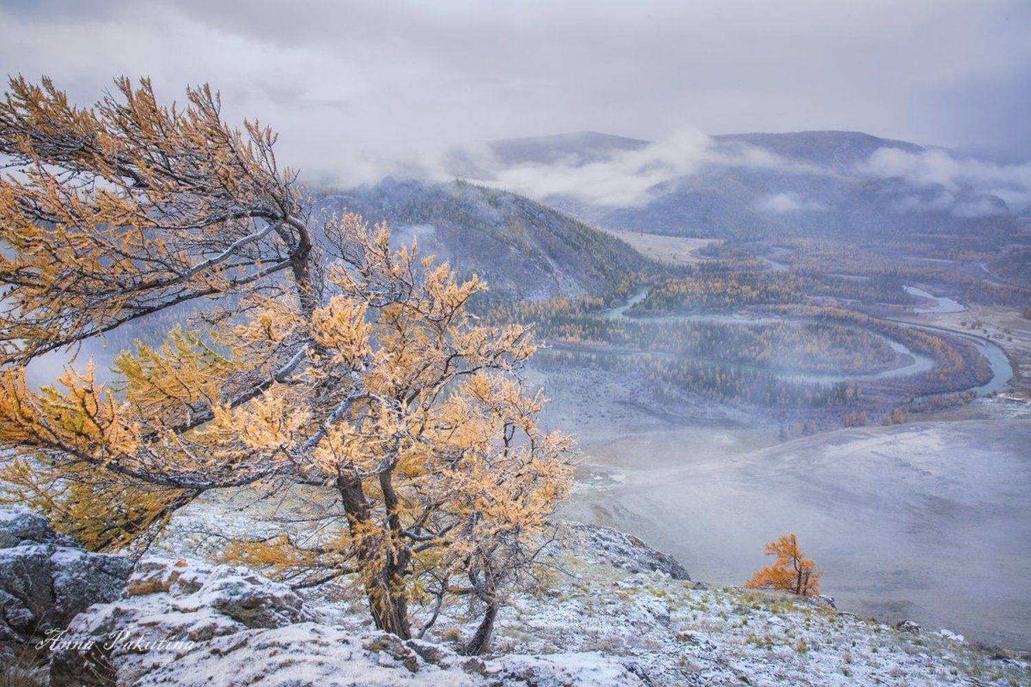 , Анна Пакутина