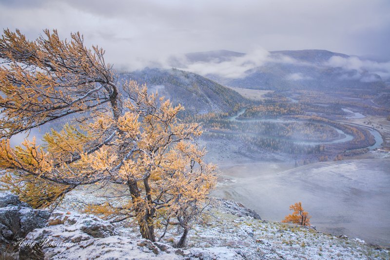 Холодное осеннее утро (Алтай)photo preview