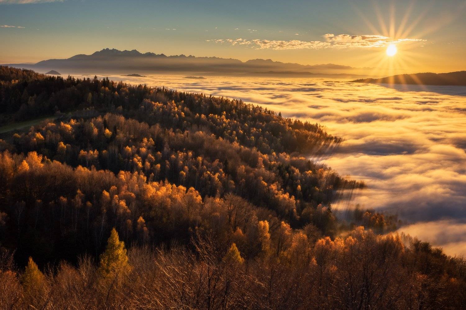 Autumn sunset. Автор: Pawel Uchorczak , Pawel Uchorczak