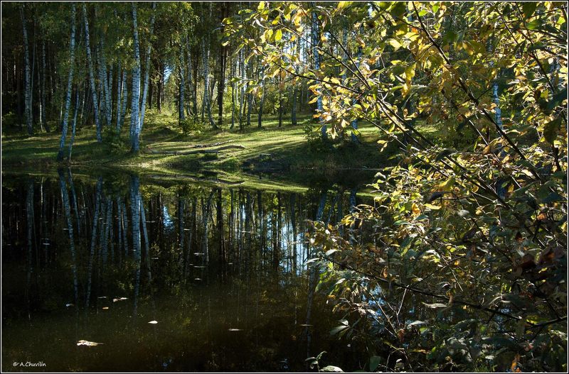 Пруд. Ранняя осеньphoto preview