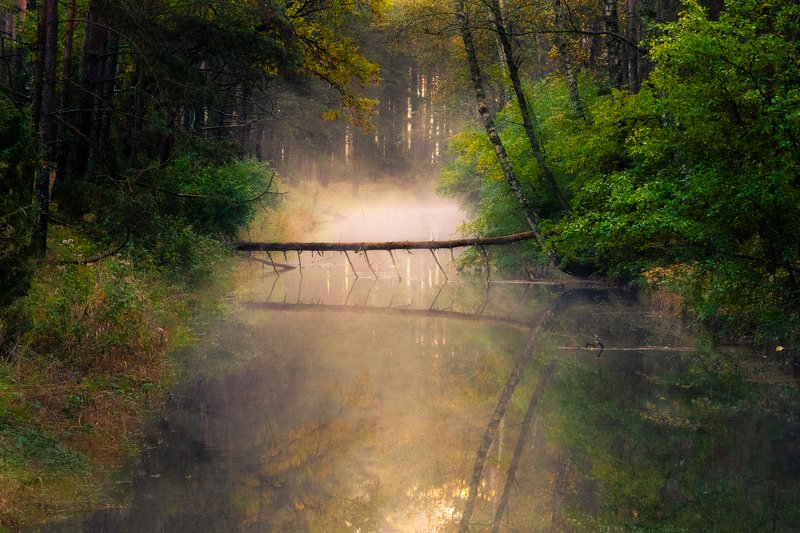 Kanał Rzeki Wdyphoto preview