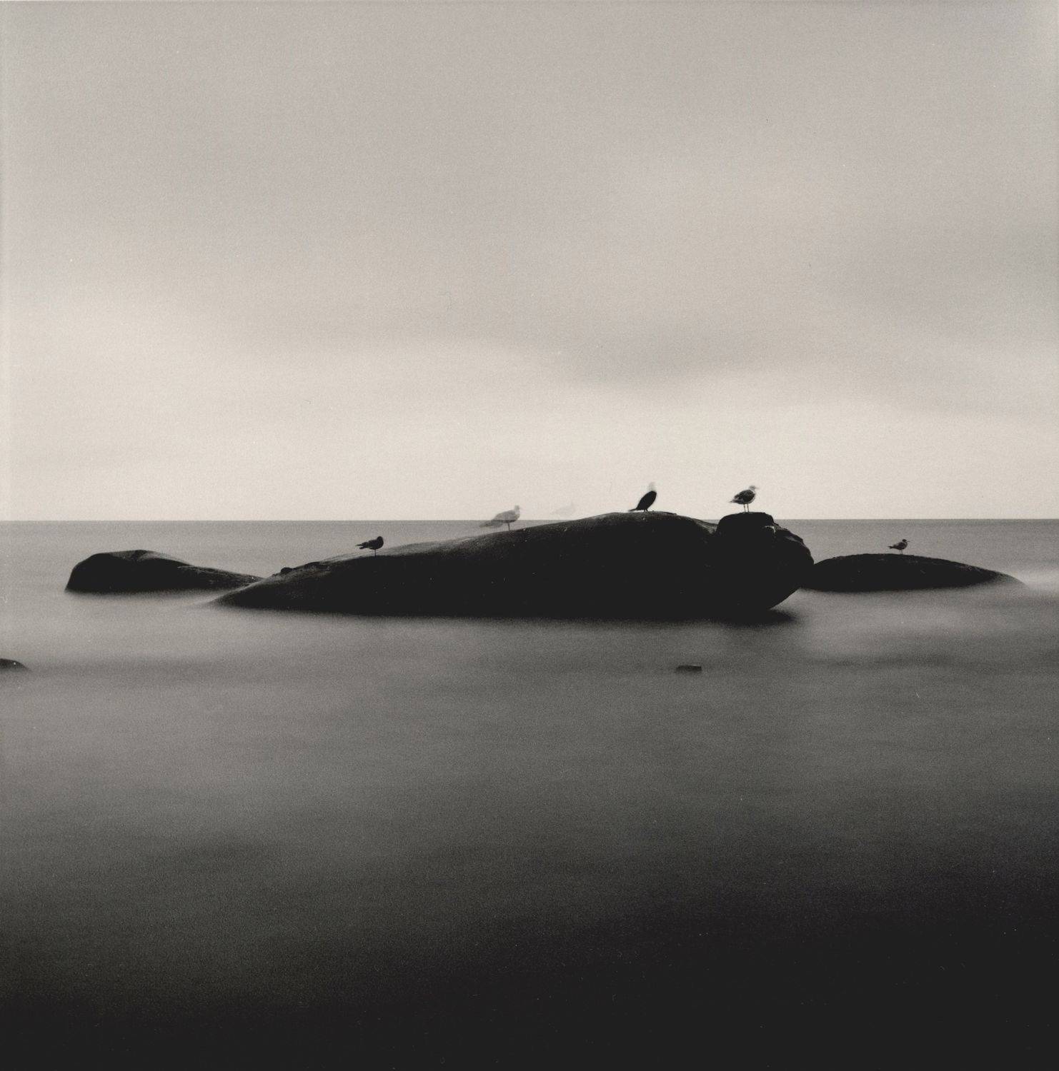 Birds appear, play and disappear.. Автор: Aleksandr Osokin filmphotography, analogphotography, darkroomphotography, silvergelatineprint, Aleksandr Osokin