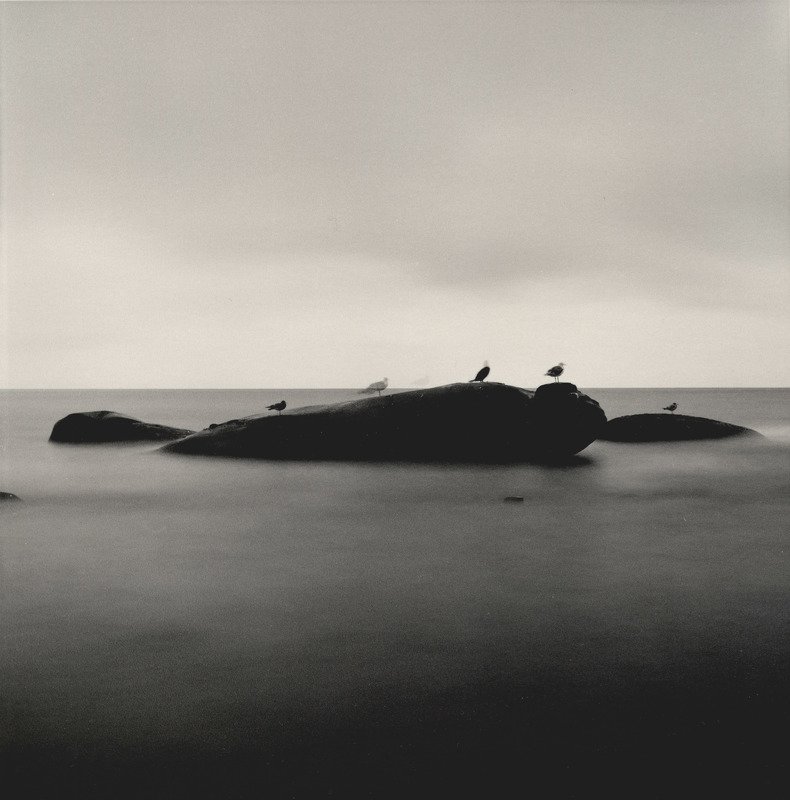 filmphotography, analogphotography, darkroomphotography, silvergelatineprint Birds appear, play and disappear.photo preview