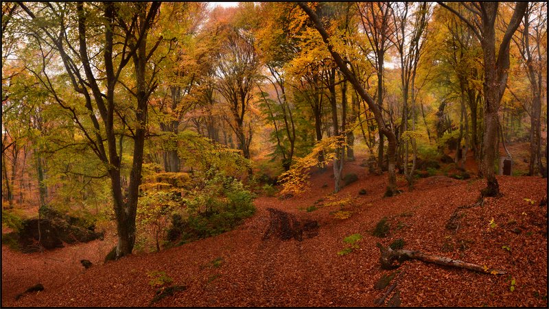 Ноябрь в Крыму фото превью