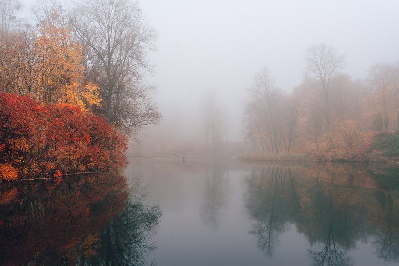 Туманphoto preview