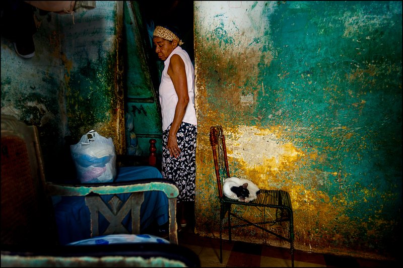 Yancho Sabev Photography, Cuba, Havana, street, color, one person, mood, wall, cat ~ Havana Blues ~photo preview