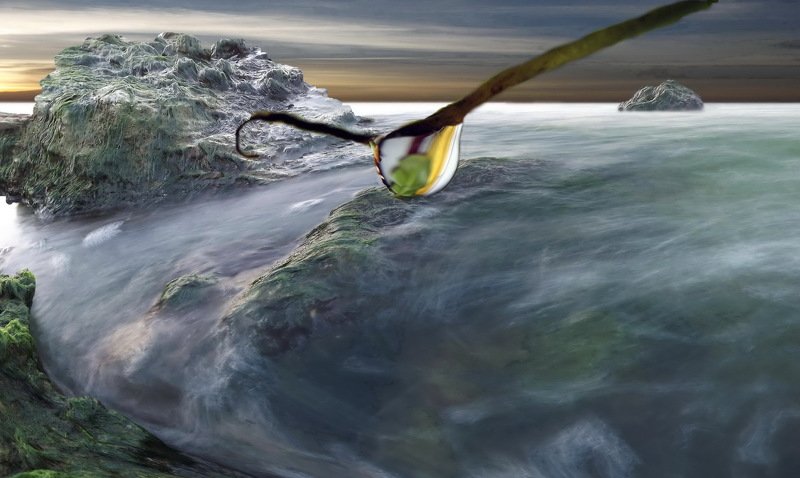 одесса ХАДЖИБЕЙphoto preview