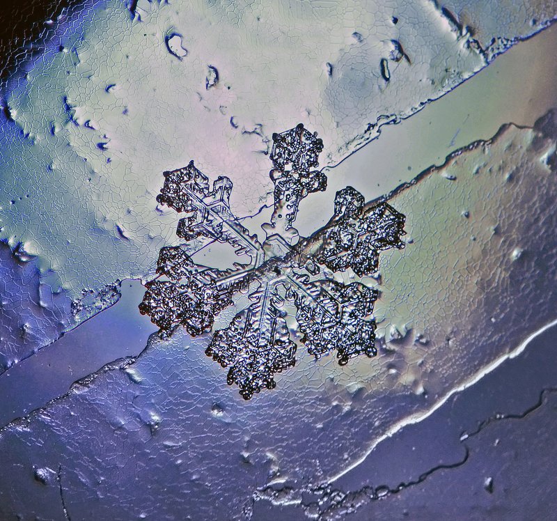 макро, снежинка, снег, макрофото, макрофотография, зима, волшебство, Радужный кристаллphoto preview