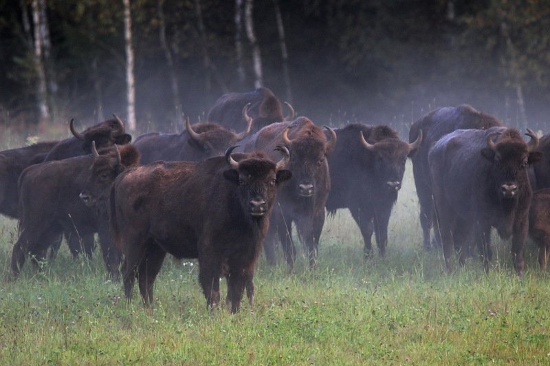 111 111photo preview