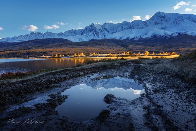 пейзаж, осень, алтай, altai, altay, landscape Солнечный \
