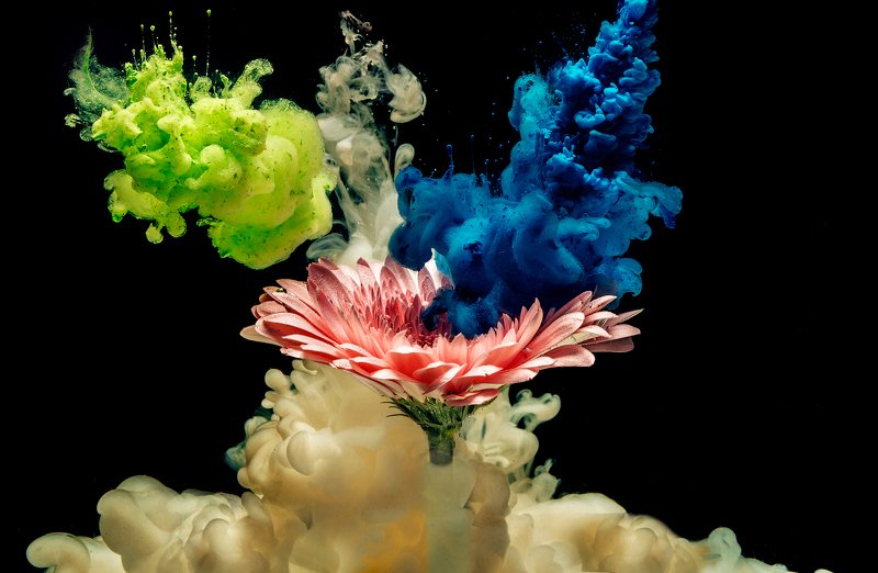 Возрождениеphoto preview