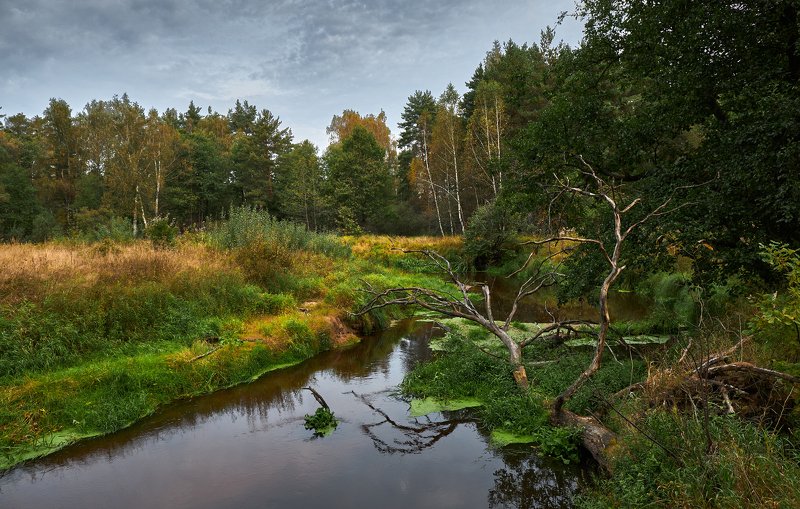 *** фото превью