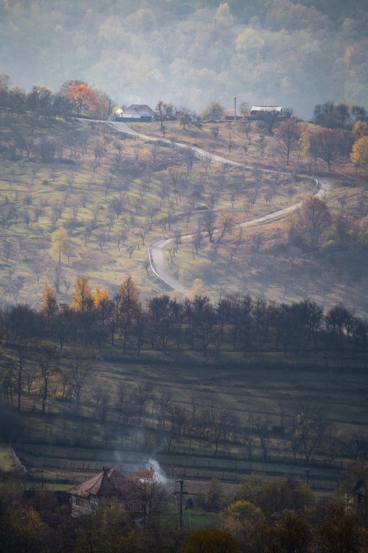 Tutestiphoto preview